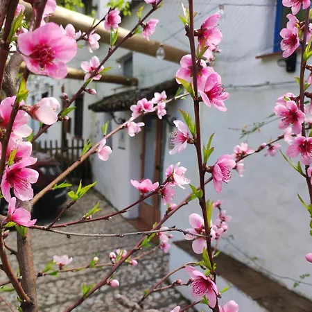 Casita Esperanza 펜션 Alájar